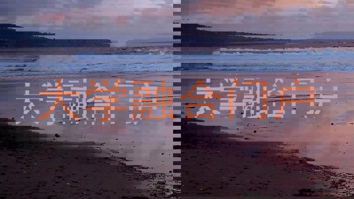 大学融合门户
