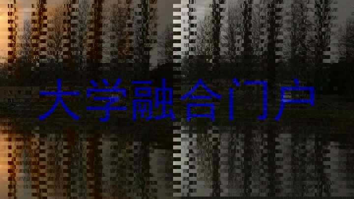 大学融合门户