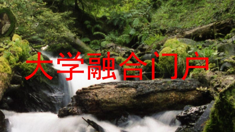 大学融合门户
