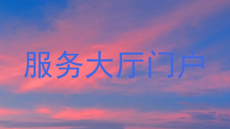 服务大厅门户