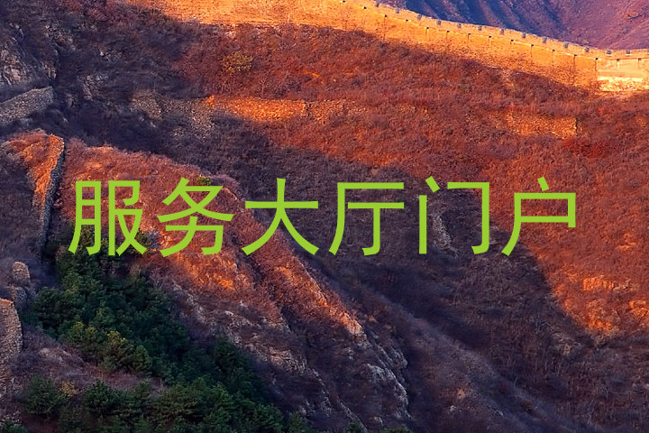 服务大厅门户