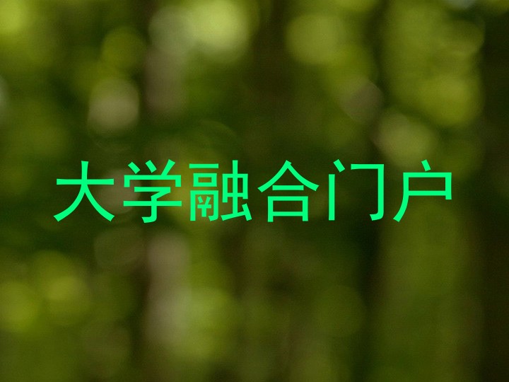 大学融合门户