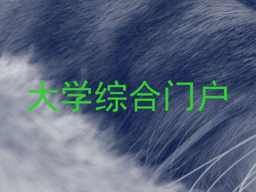 大学综合门户