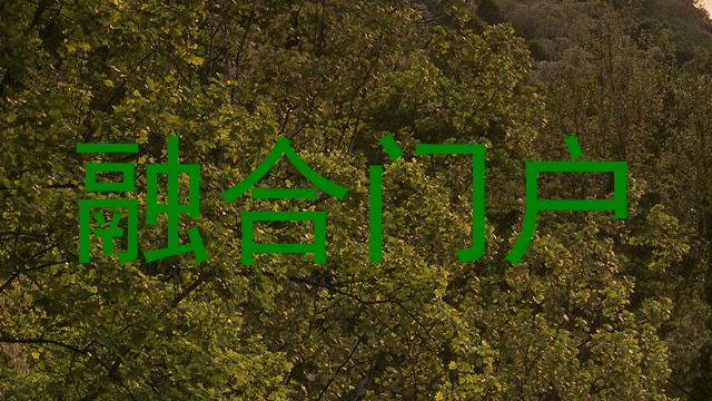 融合门户