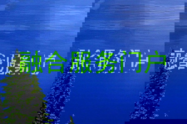 融合服务门户