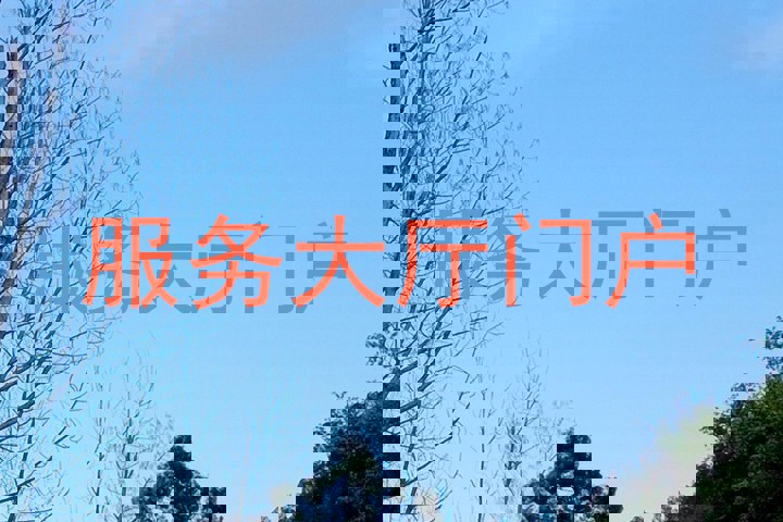 服务大厅门户