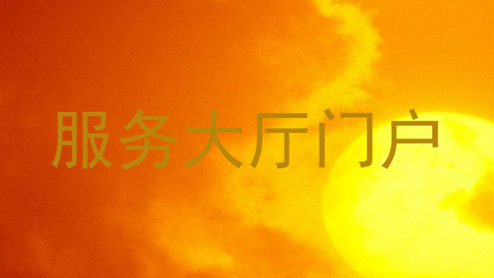 服务大厅门户