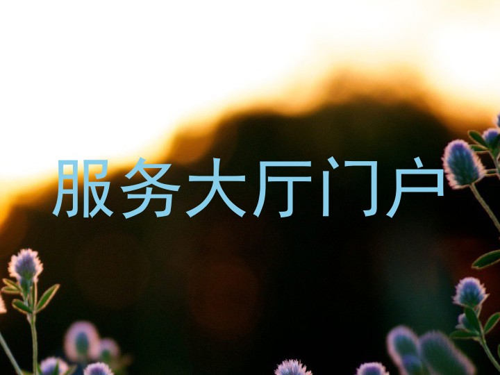 服务大厅门户
