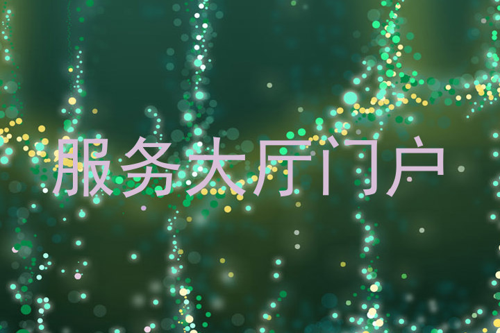 服务大厅门户