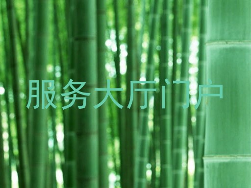 服务大厅门户