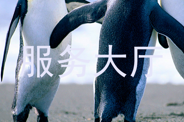 服务大厅