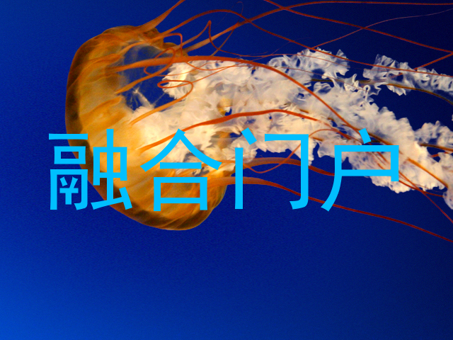 融合门户