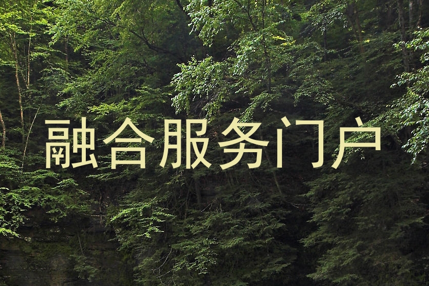融合服务门户