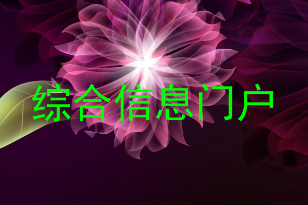 综合信息门户