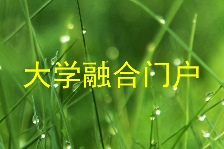 大学融合门户
