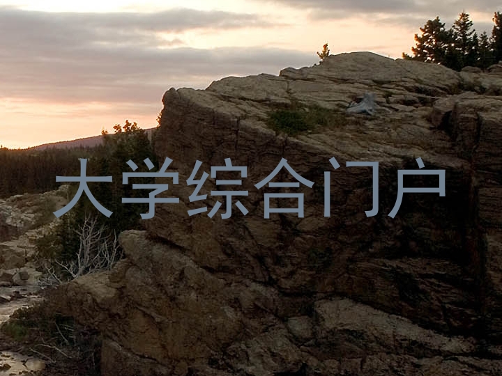 大学综合门户