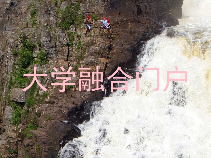 大学融合门户