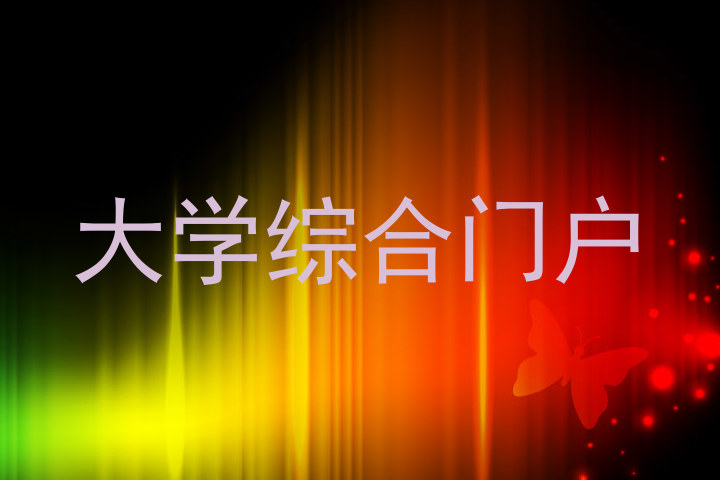 大学综合门户