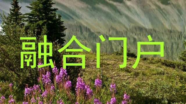 融合门户