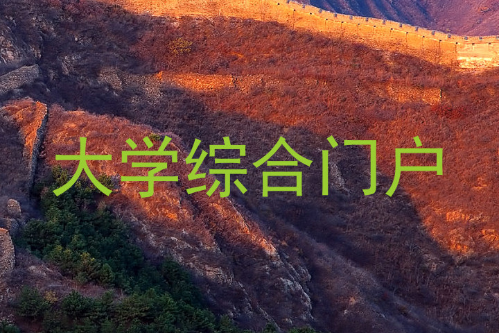 大学综合门户