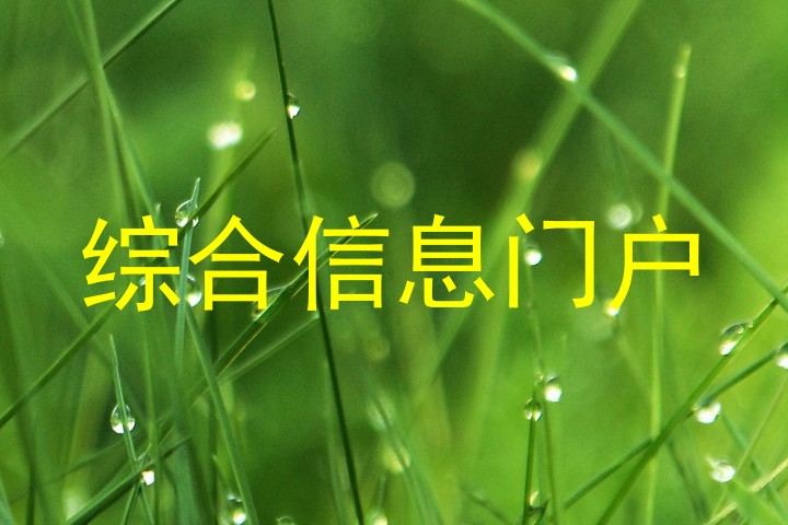 综合信息门户