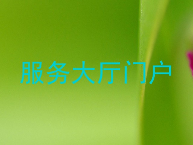 服务大厅门户