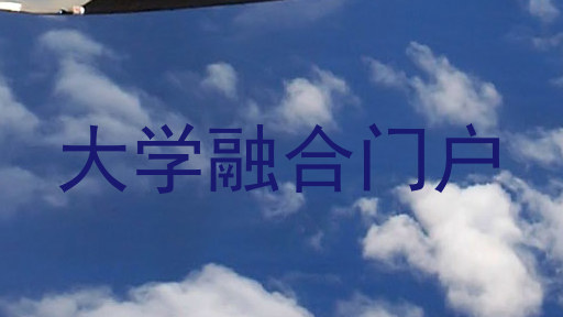 大学融合门户