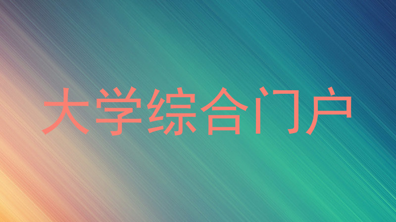 大学综合门户