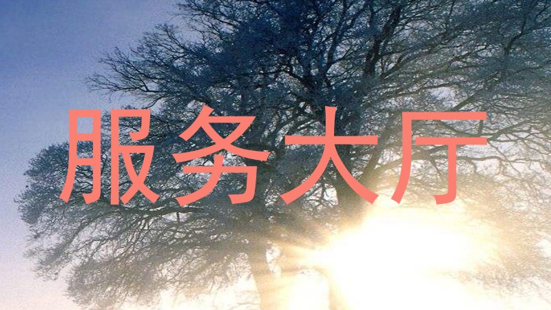 服务大厅