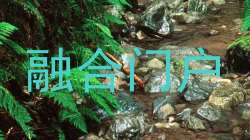 融合门户