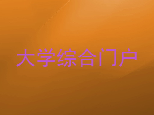 大学综合门户