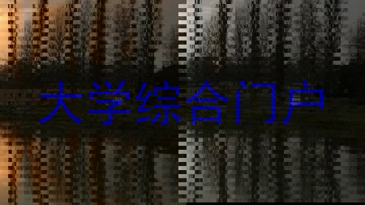 大学综合门户
