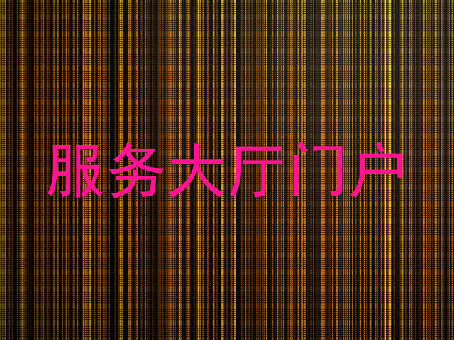 服务大厅门户