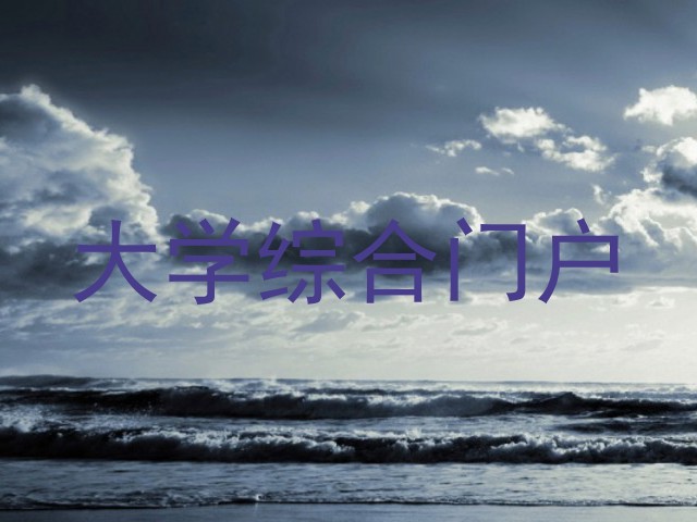 大学综合门户