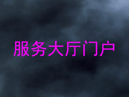 服务大厅门户