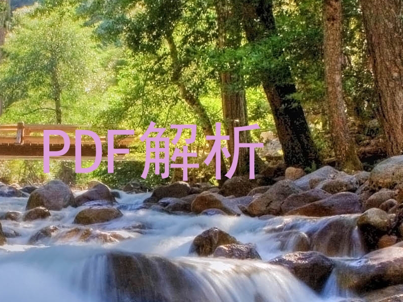PDF解析