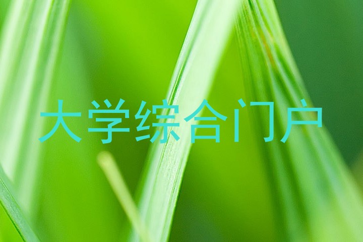 大学综合门户