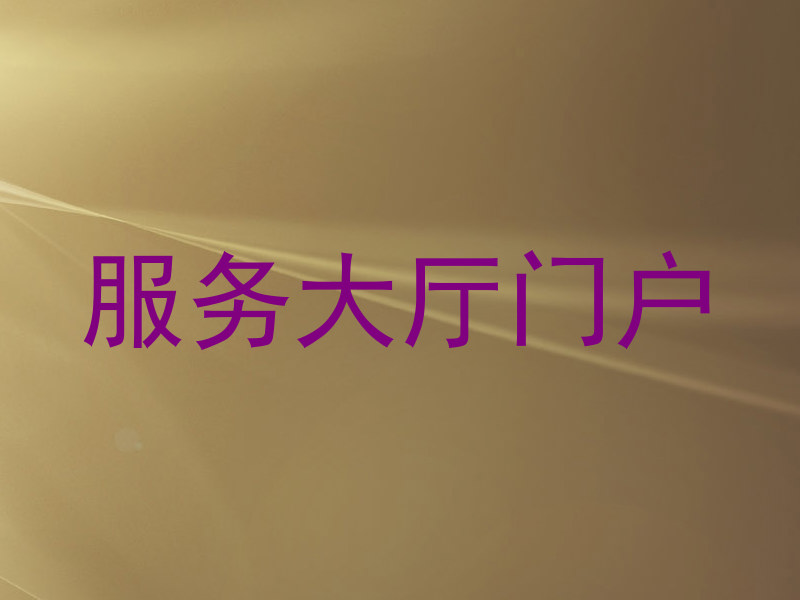 服务大厅门户