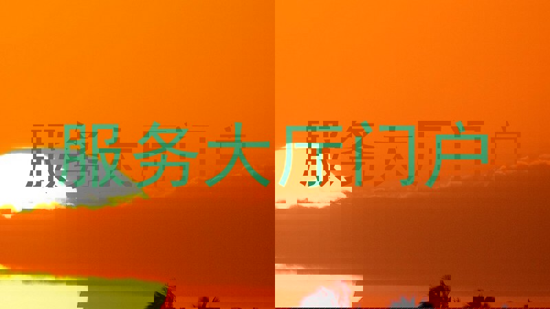 服务大厅门户