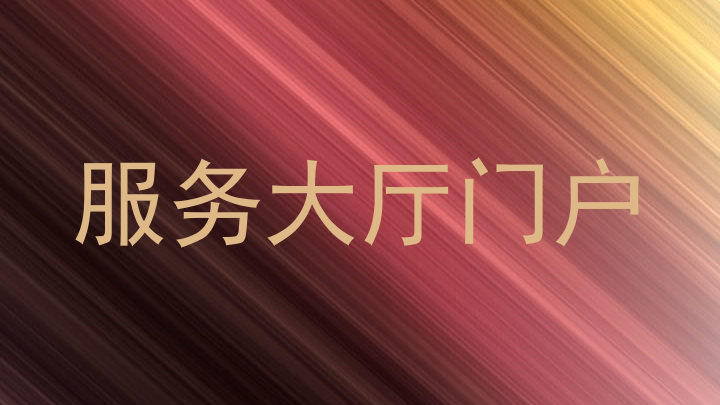 服务大厅门户