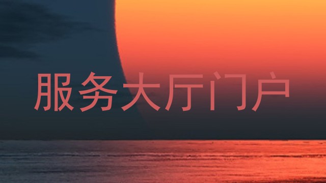 服务大厅门户
