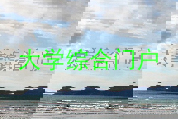 大学综合门户