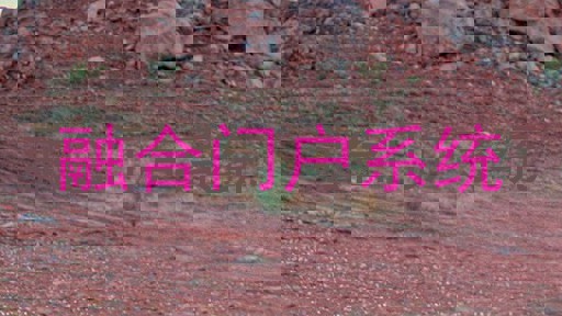 融合门户系统