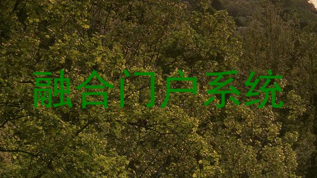 融合门户系统