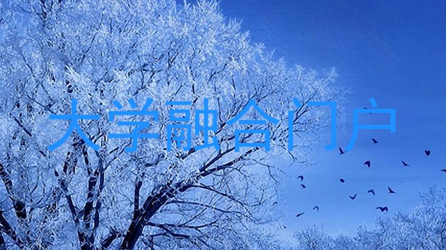 大学融合门户
