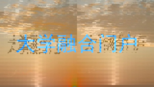 大学融合门户