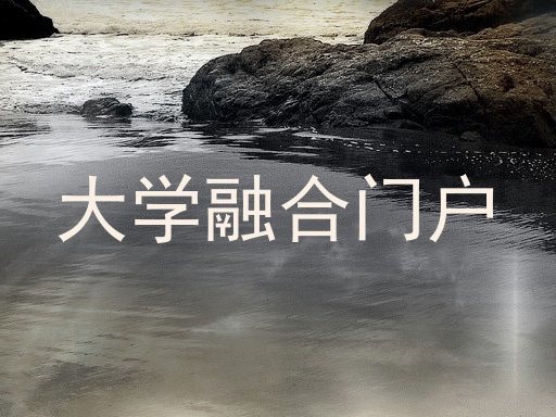 大学融合门户