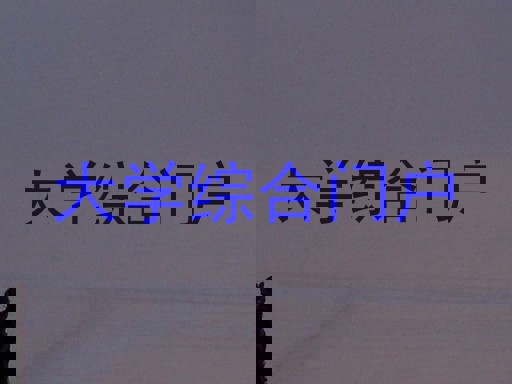 大学综合门户