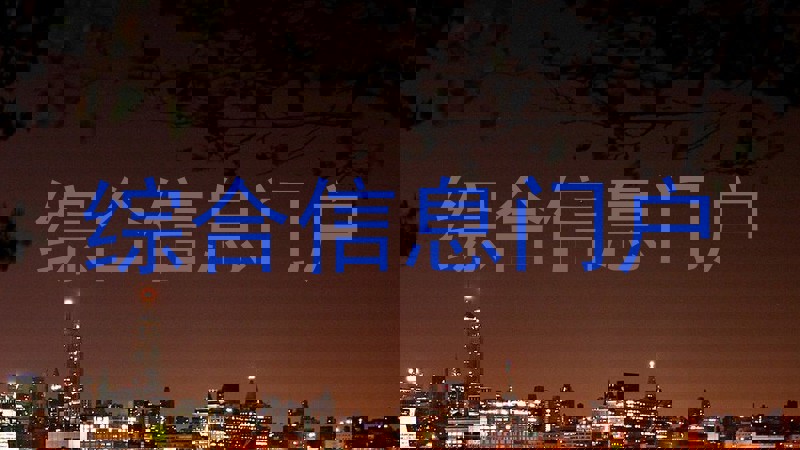 综合信息门户