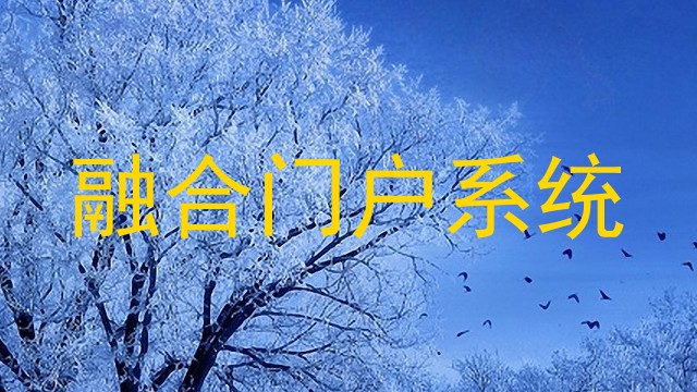 融合门户系统